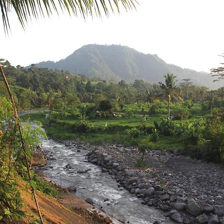Anandinii River Lodge By Agata Sidemen (Bali) Exterior foto
