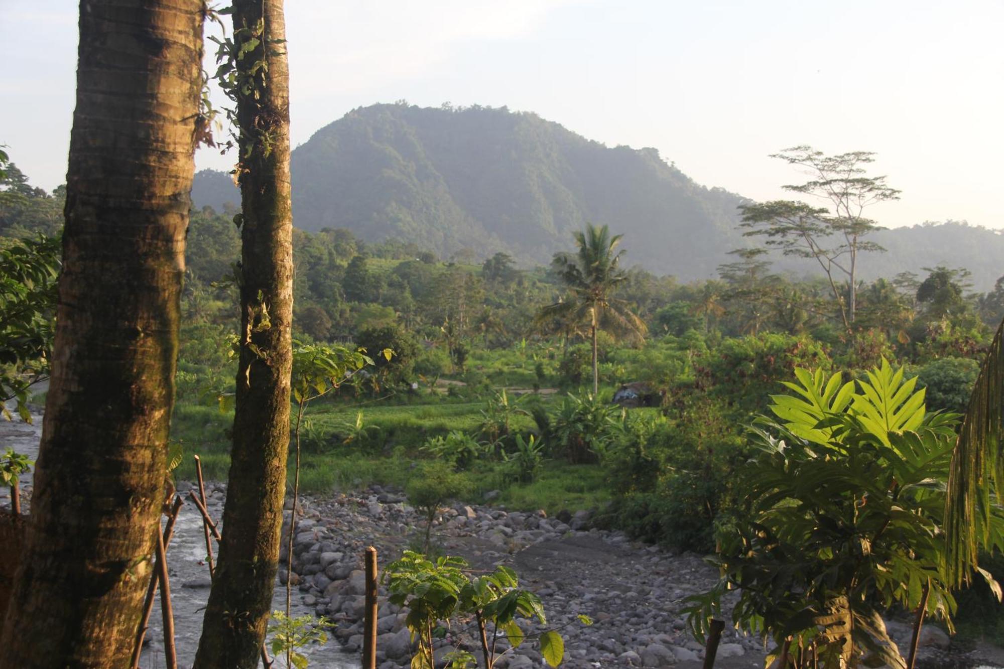 Anandinii River Lodge By Agata Sidemen (Bali) Exterior foto