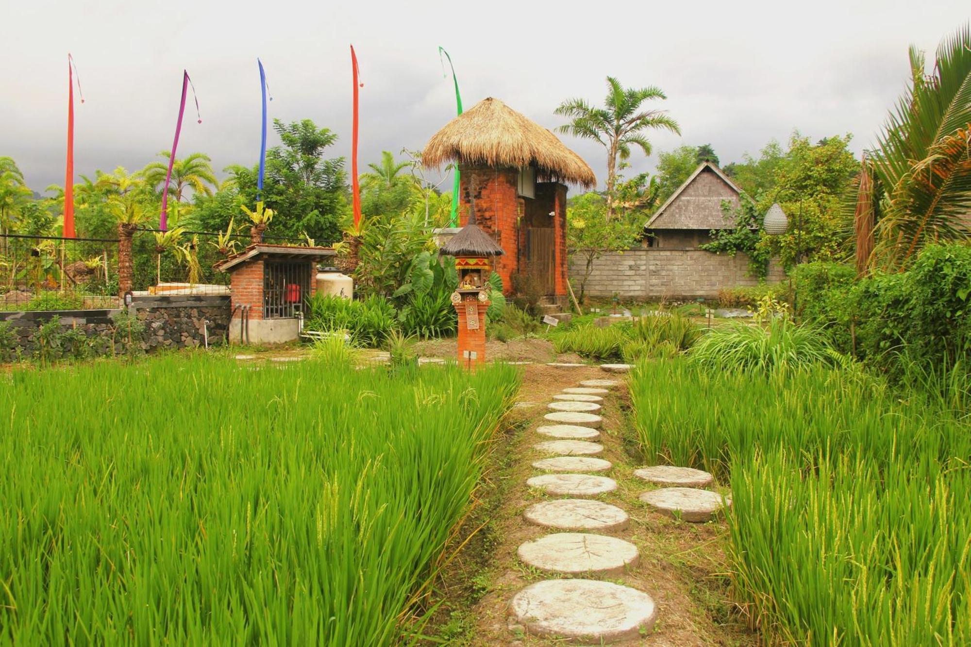 Anandinii River Lodge By Agata Sidemen (Bali) Exterior foto