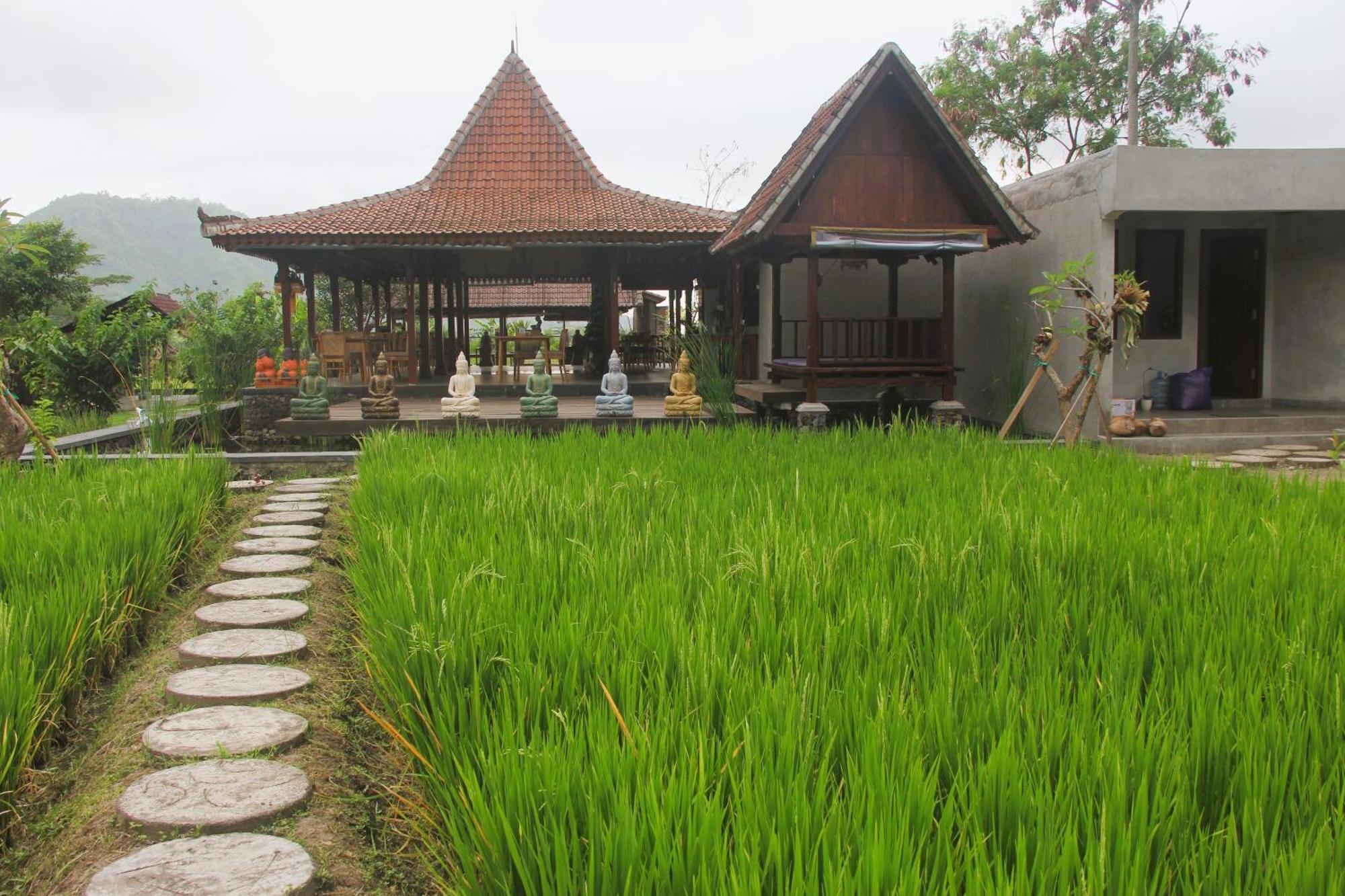 Anandinii River Lodge By Agata Sidemen (Bali) Exterior foto